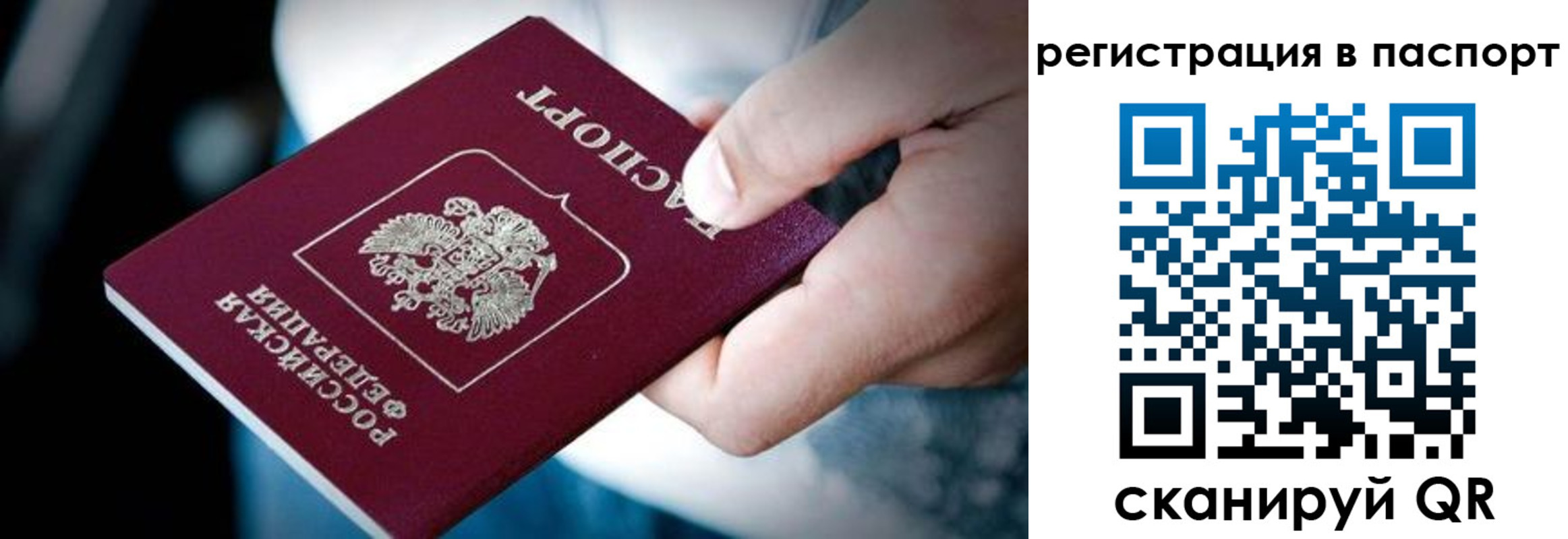 прописка паспорт в Коврове